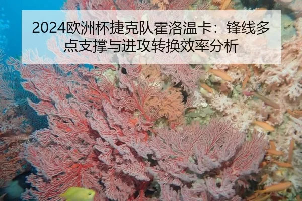 2024欧洲杯捷克队霍洛温卡：锋线多点支撑与进攻转换效率分析