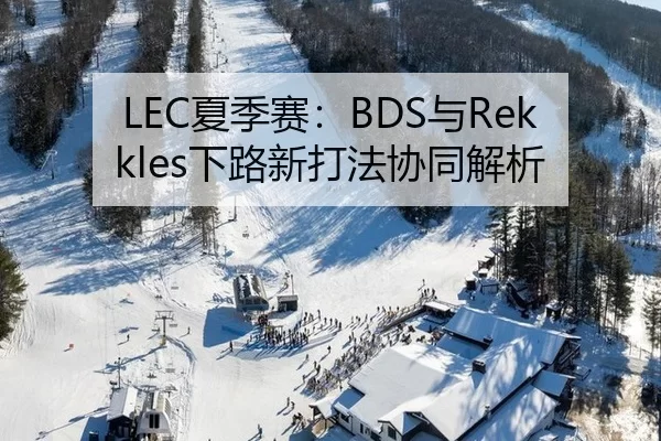 LEC夏季赛：BDS与Rekkles下路新打法协同解析